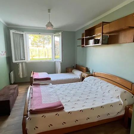 Apartament T3 Au Rez-de-chaussee Proche Centre Avec Parking Et Animaux Acceptes - Fr-1-843-16